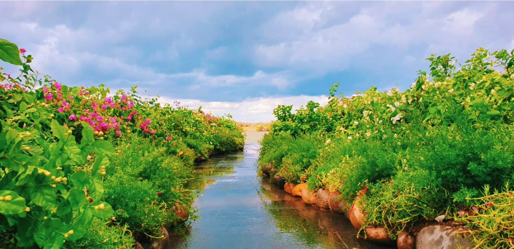 Eco Village Saigon River 53 cảnh quan bên ngoài dự án