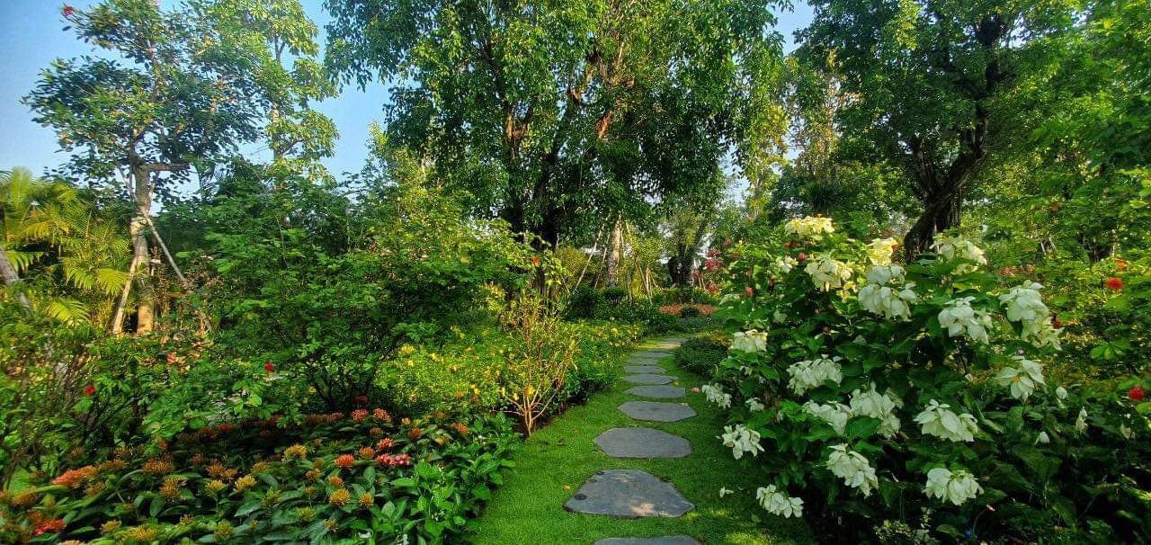 Eco Village Saigon River 54 tiến độ xây dựng thực tế