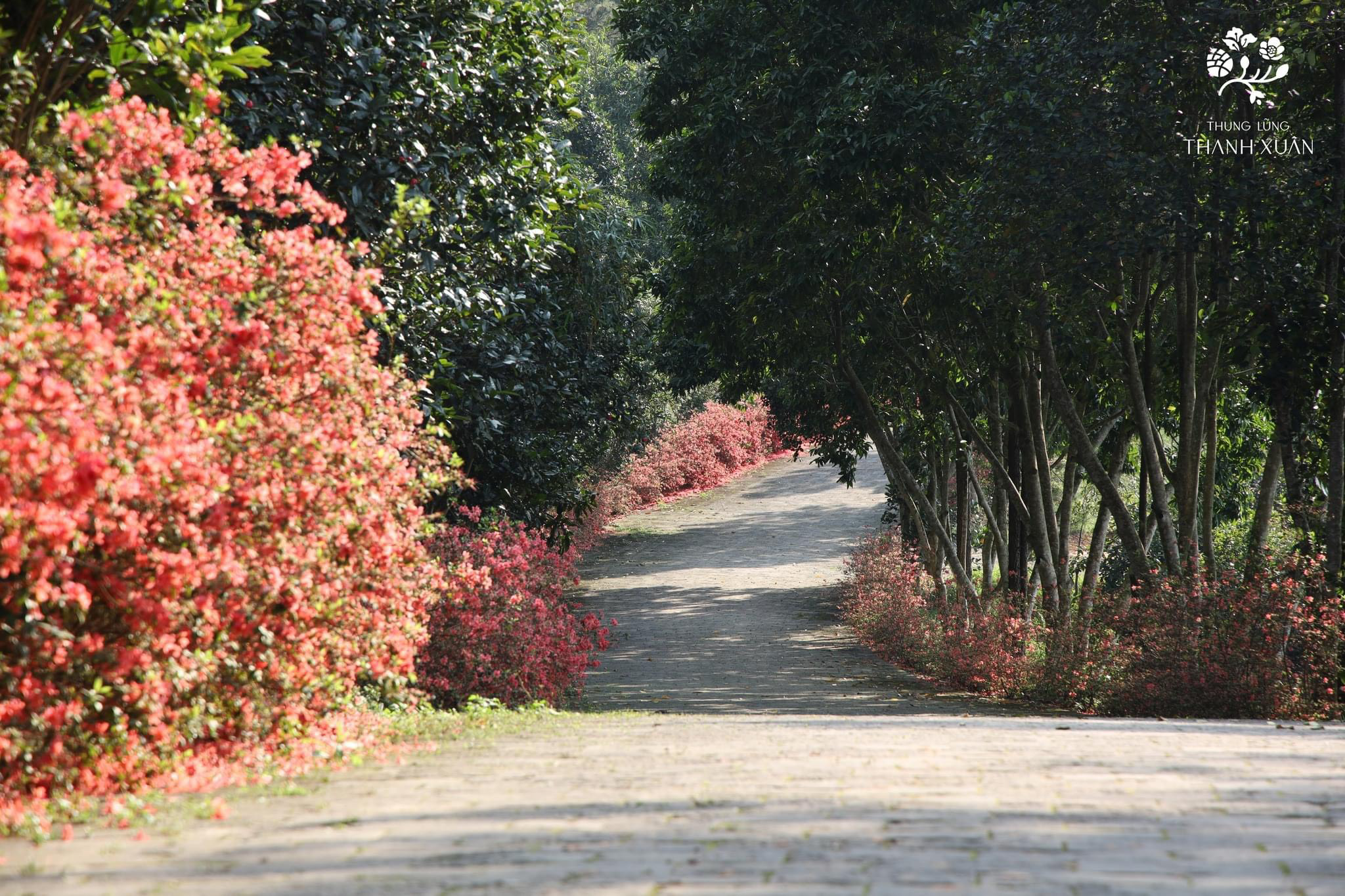 Thanh Xuân Valley 34 lối dạo bộ