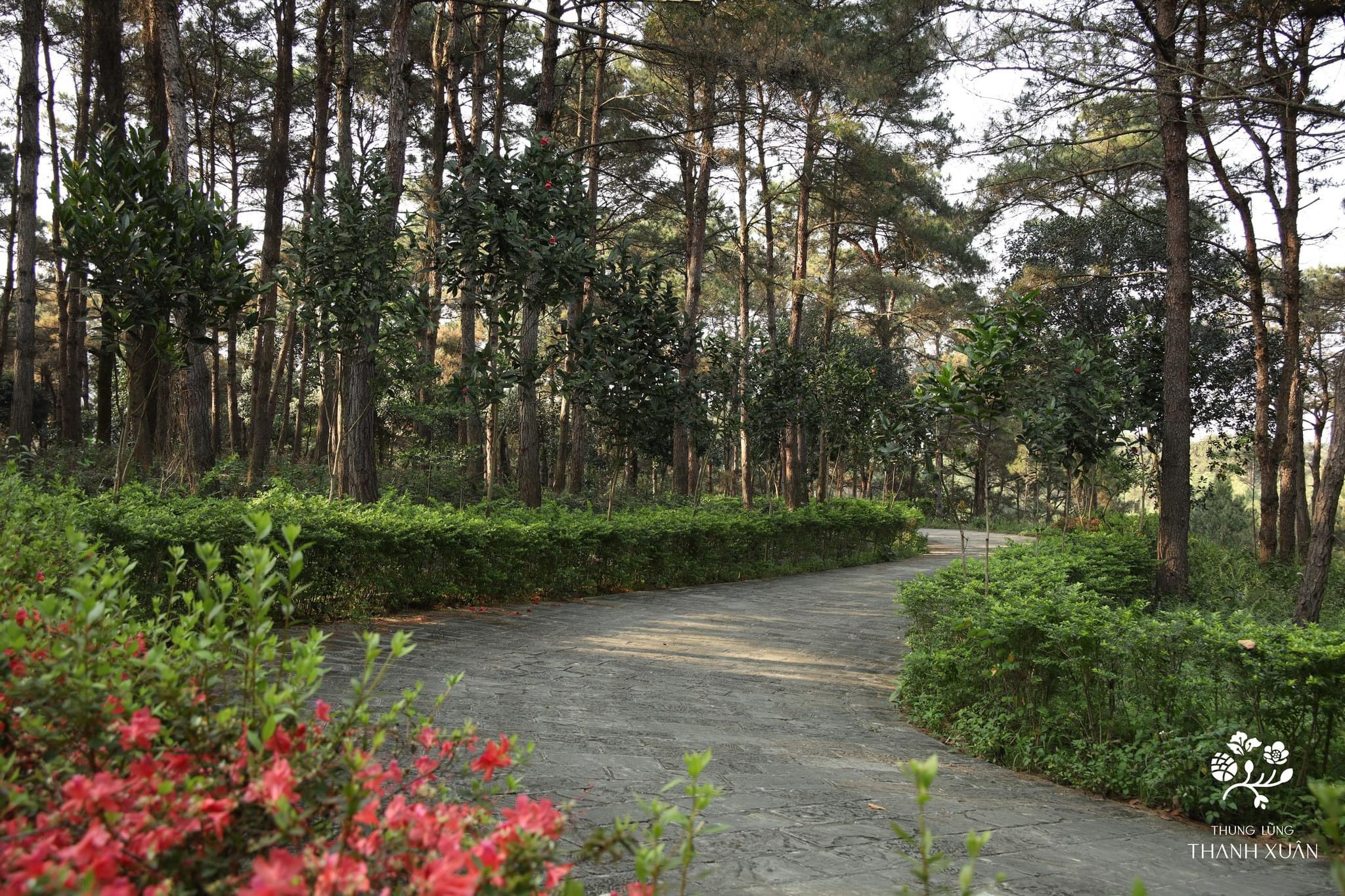 Thanh Xuân Valley 36 trục cảnh quan