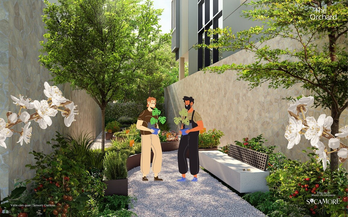 Sycamore 12 sycamore binh duong 2 1