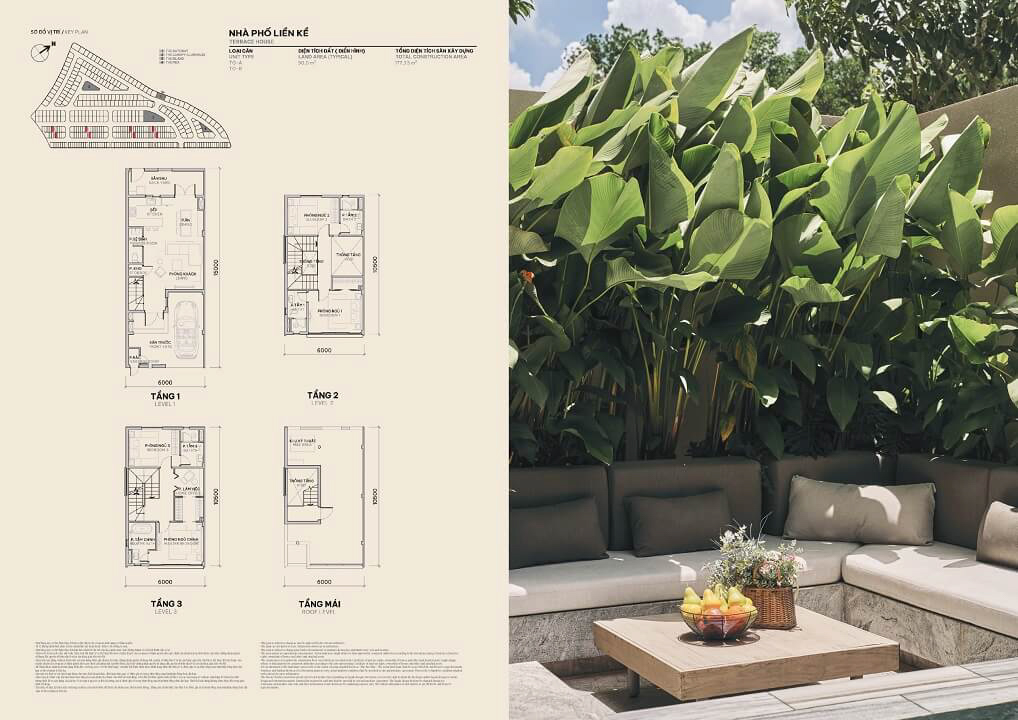 Sycamore 17 layout thiết kế nhà phố