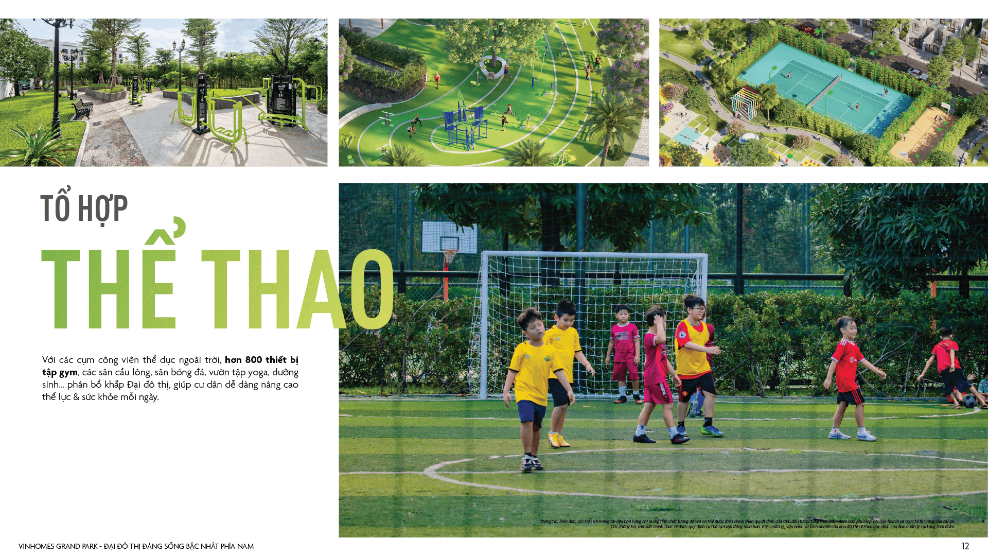 các sân thẻ thao