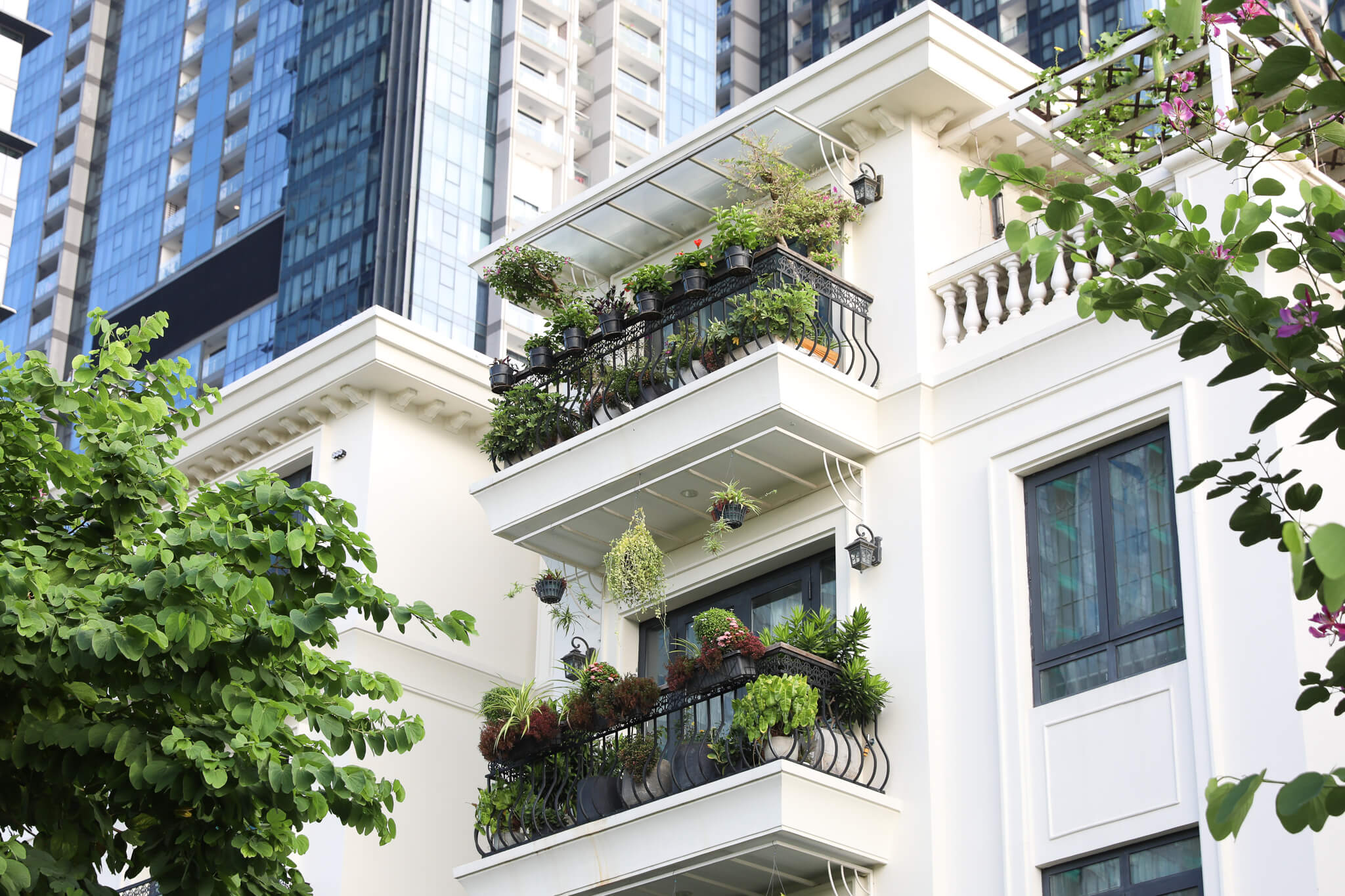 bán biệt thự ba son 