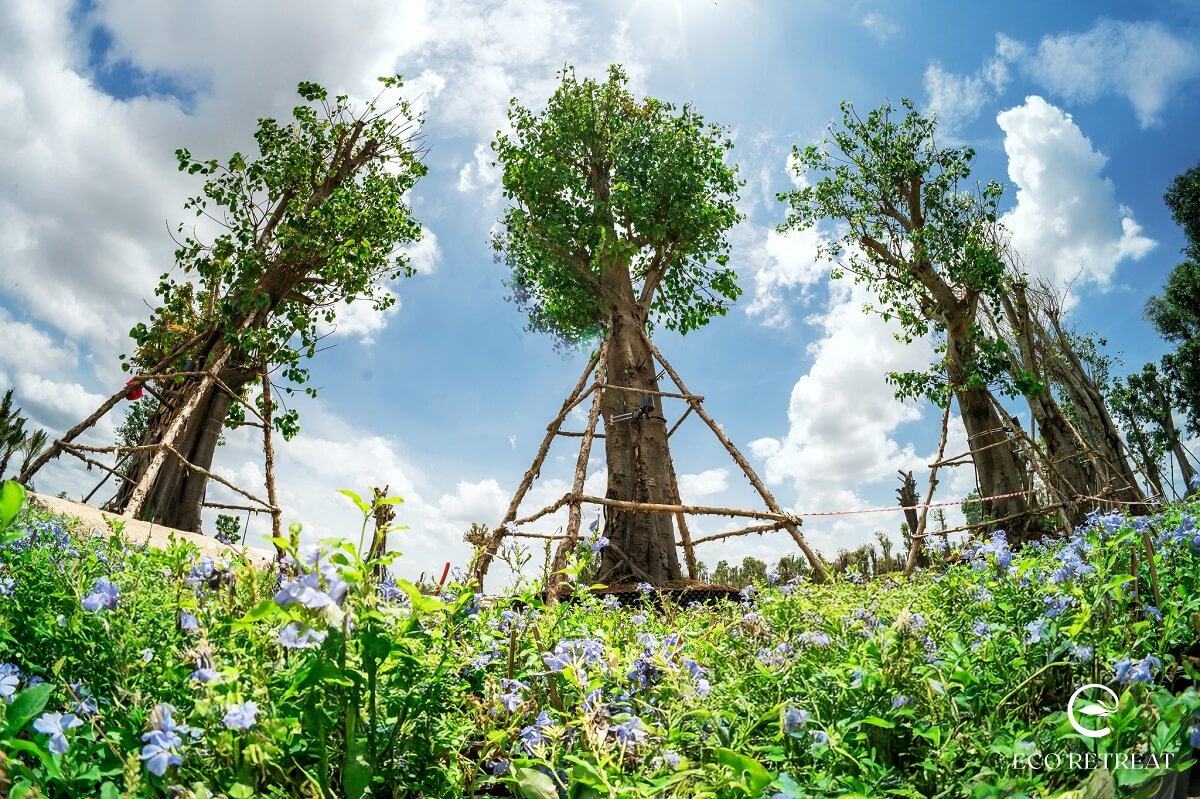 Eco Retreat Long An 10 bán biệt thự eco park long an
